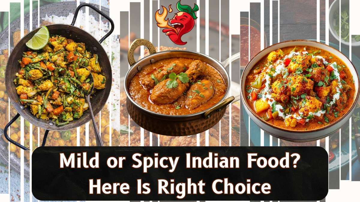 Mild or Spicy Indian Food