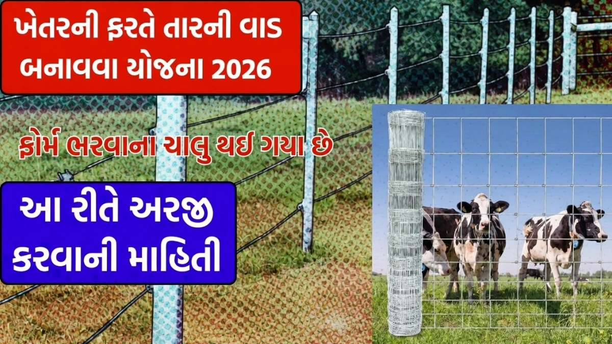 Tar Fencing Scheme 2026